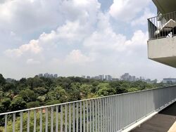 The Interlace (D4), Condominium #574669671